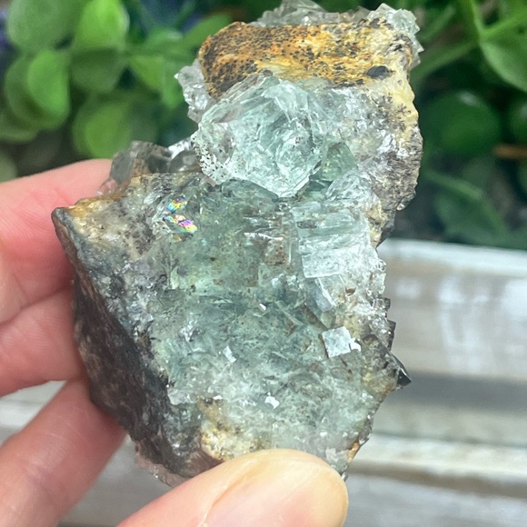 Dendritic Fluorite - Picture 3 of 5